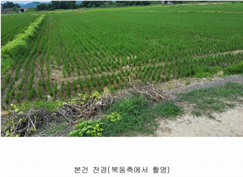 2025타경1581 부산광역시 강서구 봉림동 282-14 농지 경매 이미지