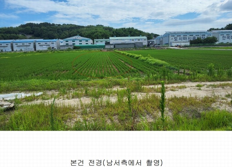 2025타경1581 부산광역시 강서구 봉림동 282-14 농지 경매 이미지