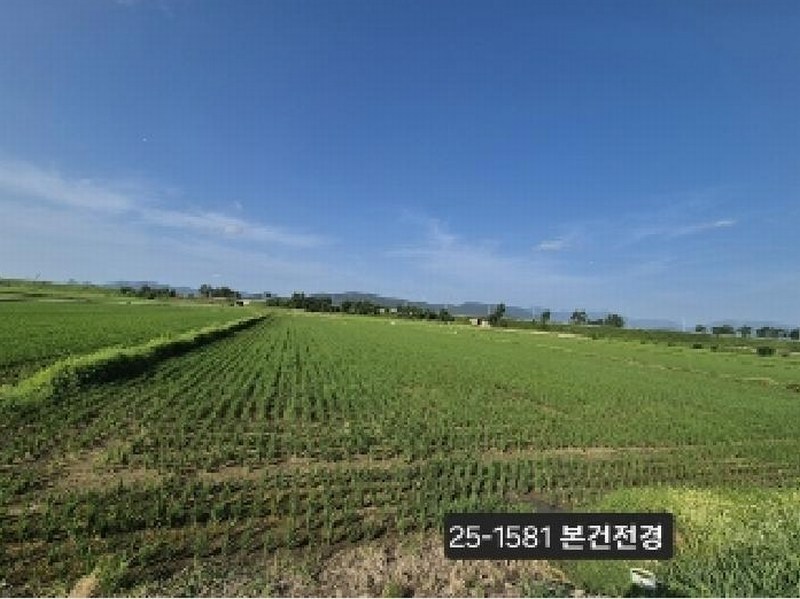 2025타경1581 부산광역시 강서구 봉림동 282-14 농지 경매 이미지