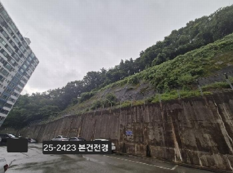 2025타경2423 부산광역시 사하구 당리동 534-11 임야 경매 이미지