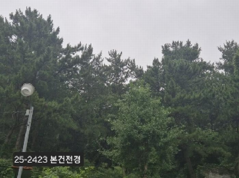 2025타경2423 부산광역시 사하구 당리동 534-11 임야 경매 이미지