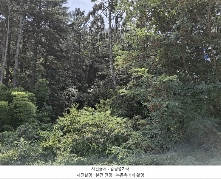 2025타경2423 부산광역시 사하구 당리동 534-11 임야 경매 이미지