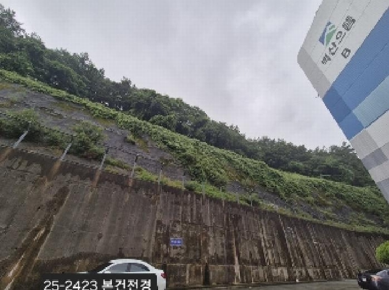 2025타경2423 부산광역시 사하구 당리동 534-11 임야 경매 이미지