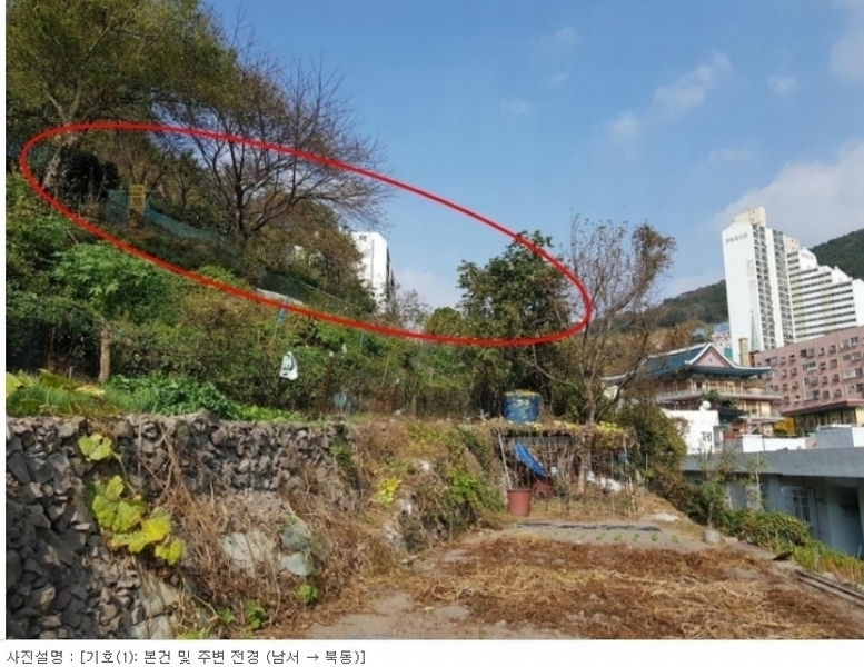 2023타경108945 부산광역시 사하구 감천동 12-428 임야 경매 이미지