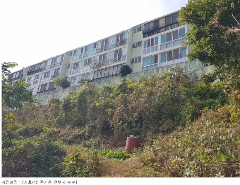 2023타경108945 부산광역시 사하구 감천동 12-428 임야 경매 이미지