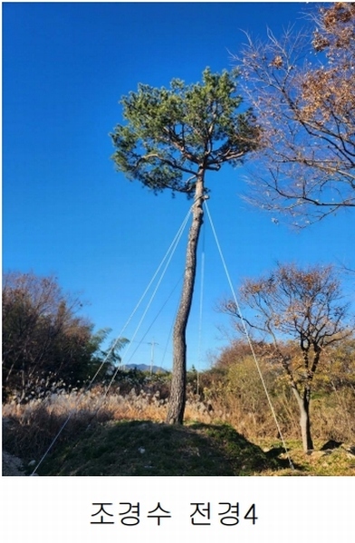 2023타경109856 부산광역시 강서구 대저1동 305-4 농지 경매 이미지