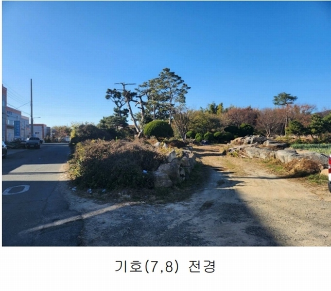 2023타경109856 부산광역시 강서구 대저1동 305-4 농지 경매 이미지