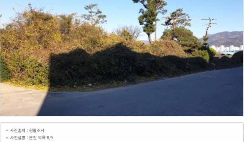 2023타경109856 부산광역시 강서구 대저1동 305-4 농지 경매 이미지