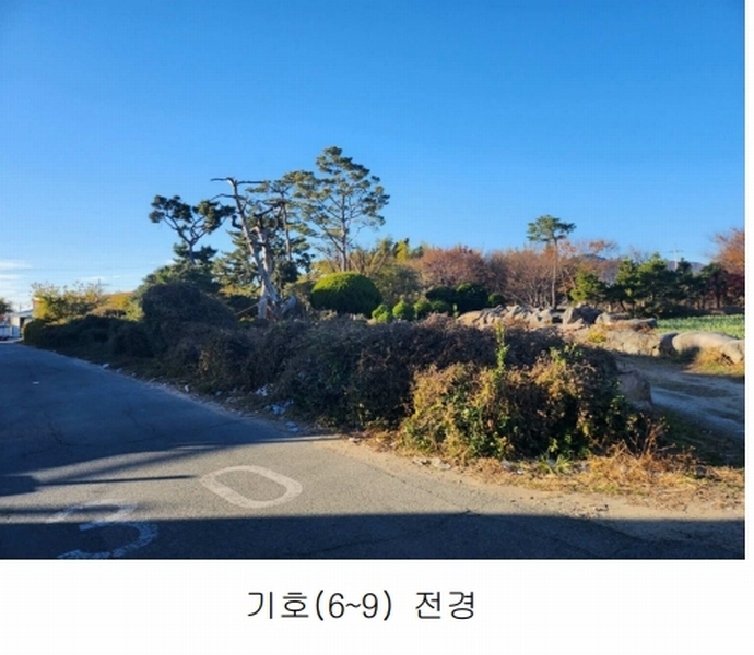 2023타경109856 부산광역시 강서구 대저1동 305-4 농지 경매 이미지