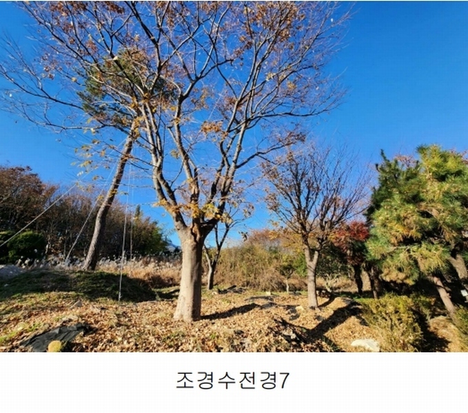 2023타경109856 부산광역시 강서구 대저1동 305-4 농지 경매 이미지