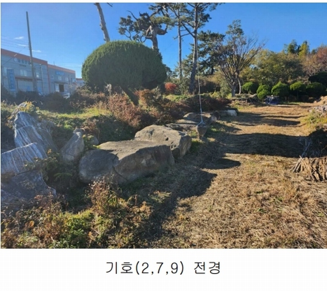 2023타경109856 부산광역시 강서구 대저1동 305-4 농지 경매 이미지