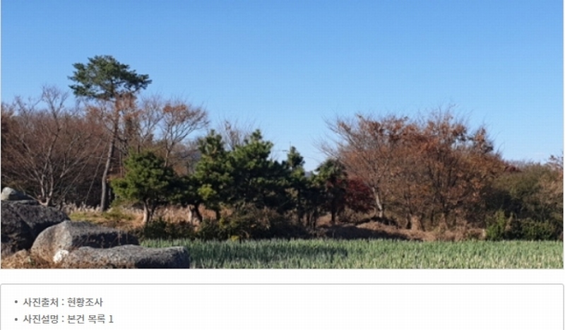 2023타경109856 부산광역시 강서구 대저1동 305-4 농지 경매 이미지
