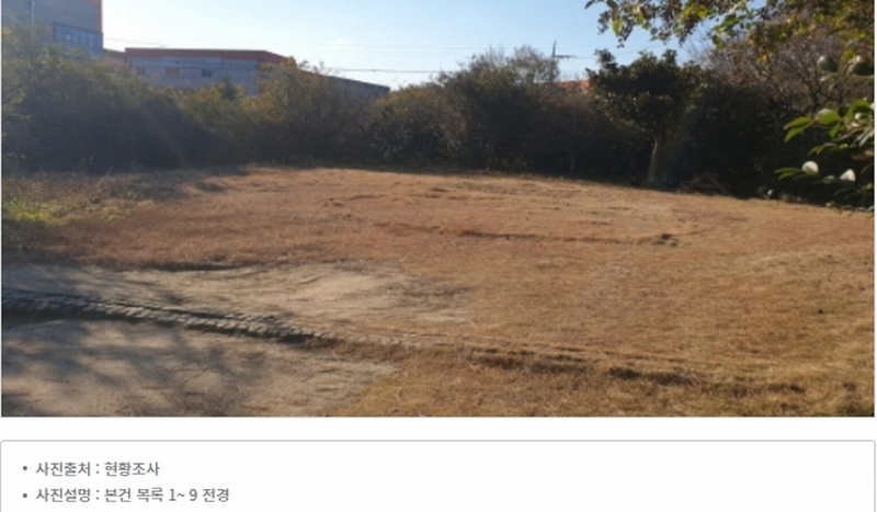 2023타경109856 부산광역시 강서구 대저1동 305-4 농지 경매 이미지