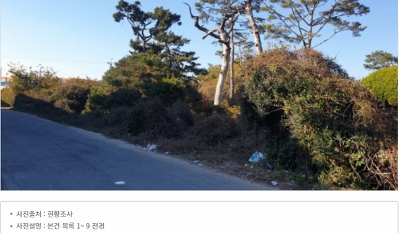 2023타경109856 부산광역시 강서구 대저1동 305-4 농지 경매 이미지