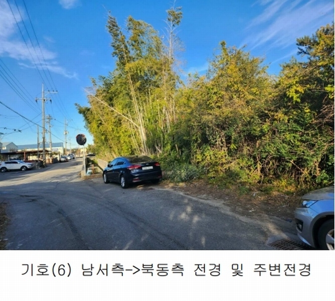 2023타경109856 부산광역시 강서구 대저1동 305-4 농지 경매 이미지