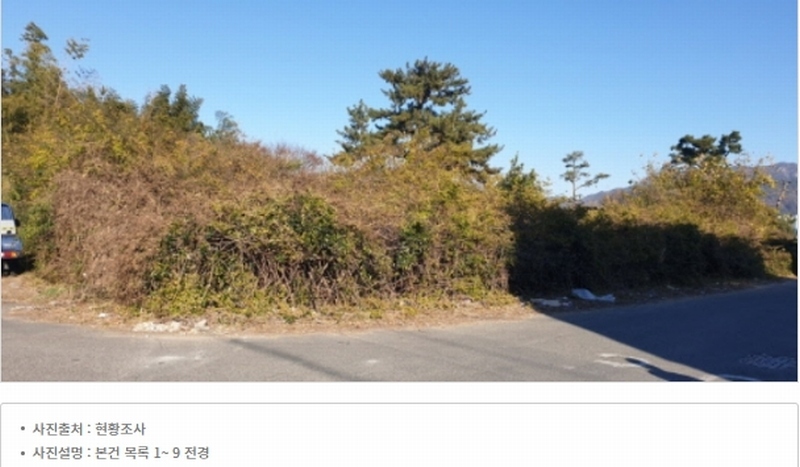 2023타경109856 부산광역시 강서구 대저1동 305-4 농지 경매 이미지