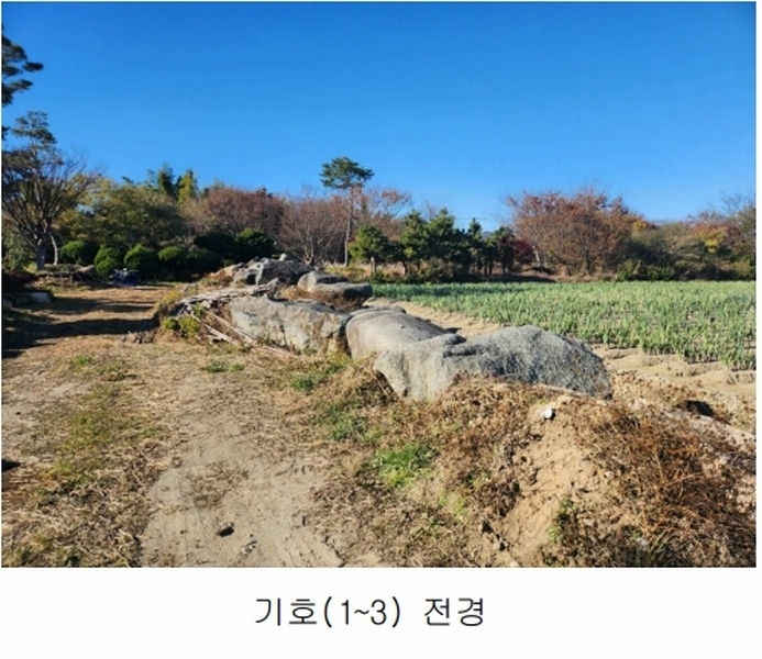 2023타경109856 부산광역시 강서구 대저1동 305-4 농지 경매 이미지