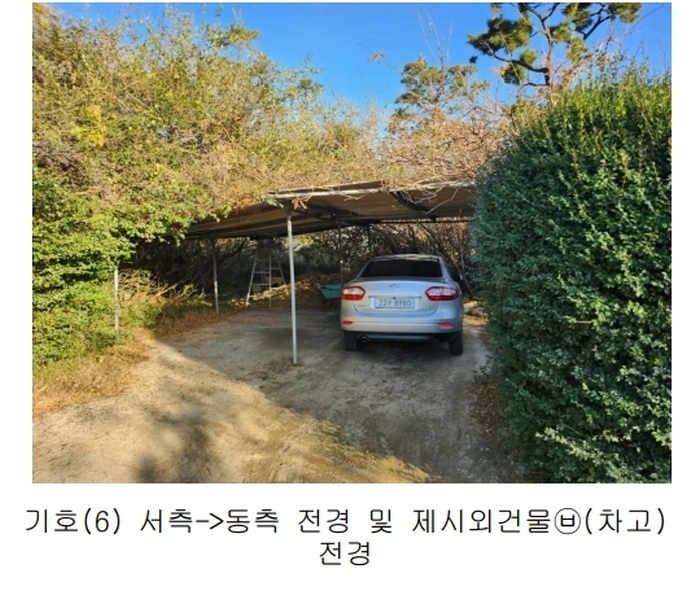 2023타경109856 부산광역시 강서구 대저1동 305-4 농지 경매 이미지