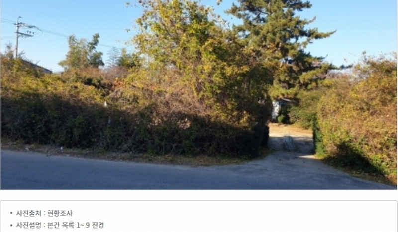 2023타경109856 부산광역시 강서구 대저1동 305-4 농지 경매 이미지