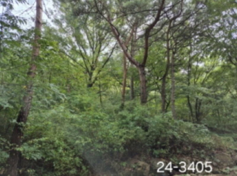 2024타경3405 부산광역시 사상구 학장동 산141 임야 경매 이미지