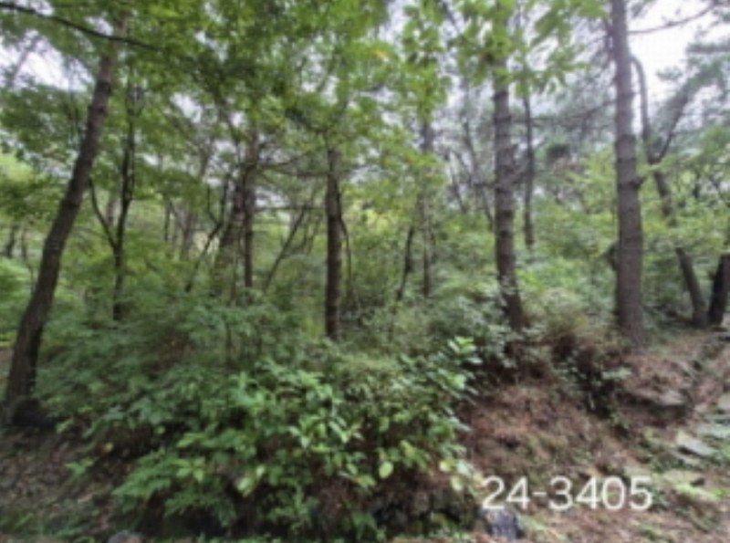 2024타경3405 부산광역시 사상구 학장동 산141 임야 경매 이미지