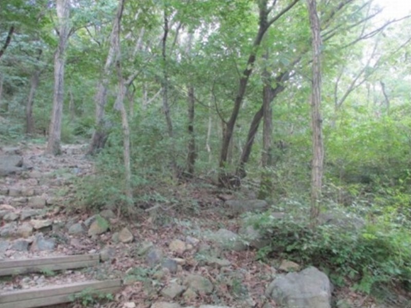 2024타경3405 부산광역시 사상구 학장동 산141 임야 경매 이미지