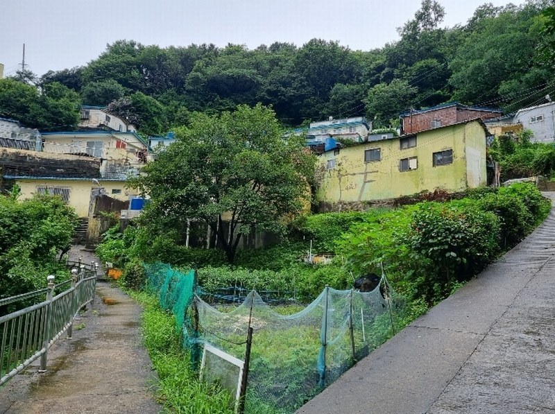 2024타경106274 부산광역시 서구 암남동 504 대지 경매 이미지