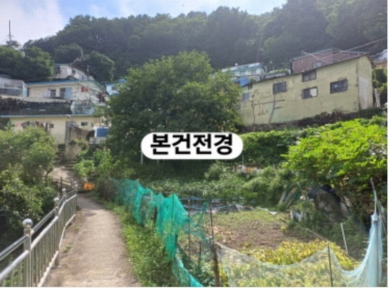 2024타경106274 부산광역시 서구 암남동 504 대지 경매 이미지