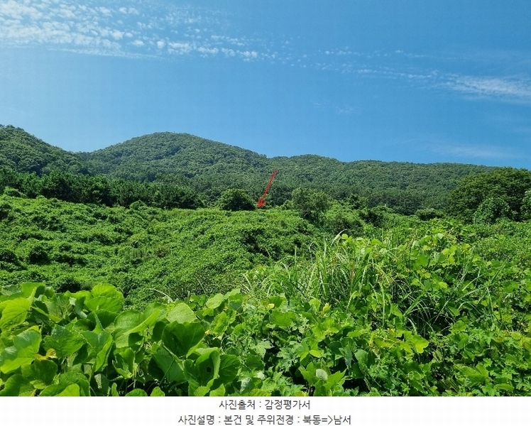 2024타경107444 부산광역시 강서구 동선동 972 농지 경매 이미지