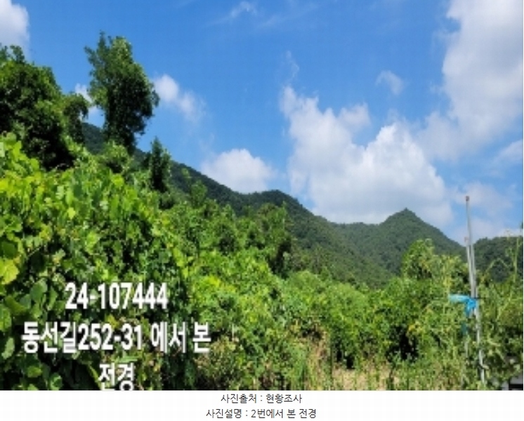 2024타경107444 부산광역시 강서구 동선동 972 농지 경매 이미지