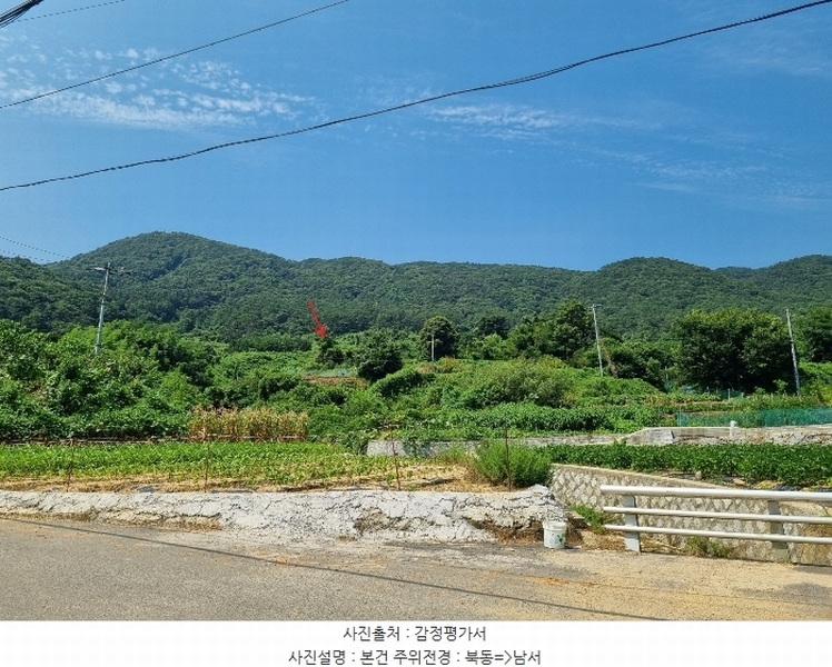 2024타경107444 부산광역시 강서구 동선동 972 농지 경매 이미지
