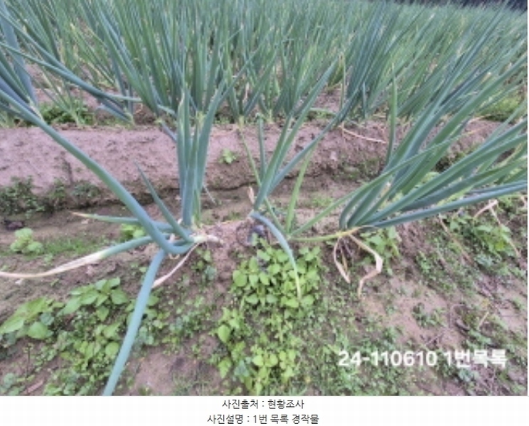 2024타경111610 부산광역시 강서구 대저1동 806-6 농지 경매 이미지