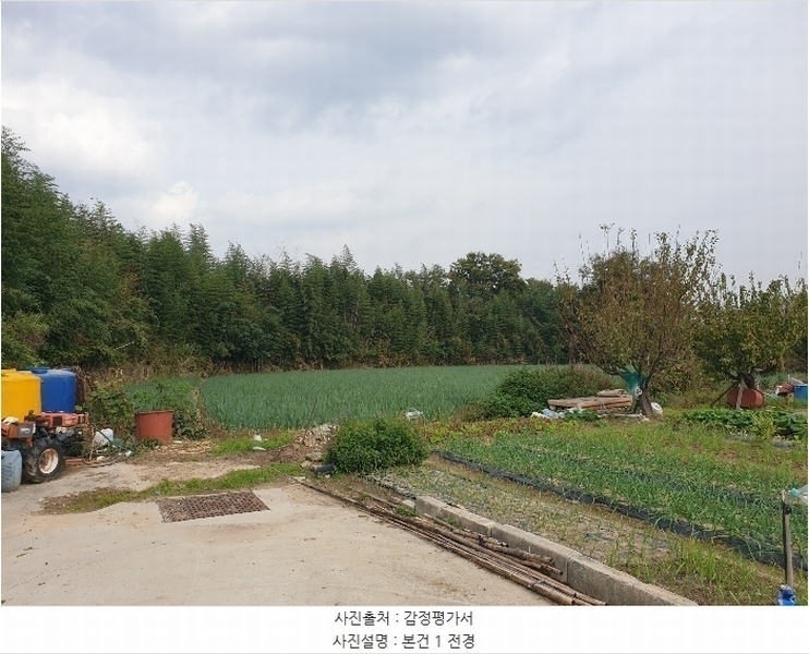 2024타경111610 부산광역시 강서구 대저1동 806-6 농지 경매 이미지