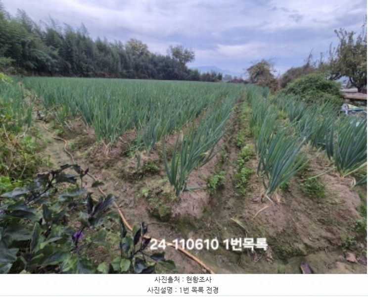 2024타경111610 부산광역시 강서구 대저1동 806-6 농지 경매 이미지