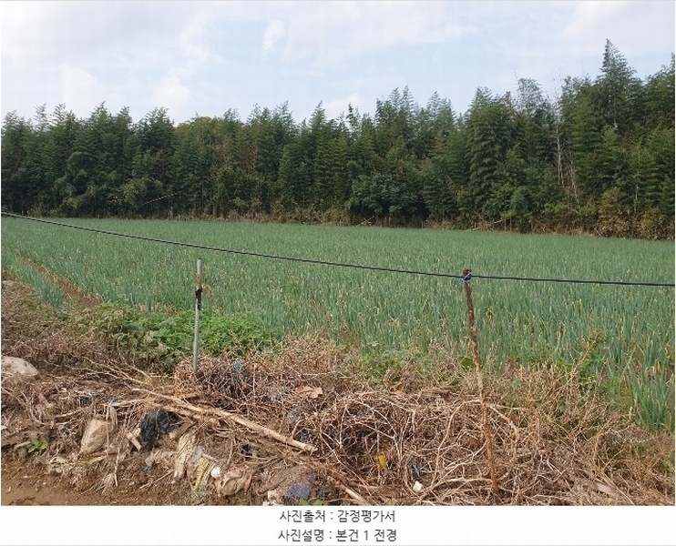 2024타경111610 부산광역시 강서구 대저1동 806-6 농지 경매 이미지