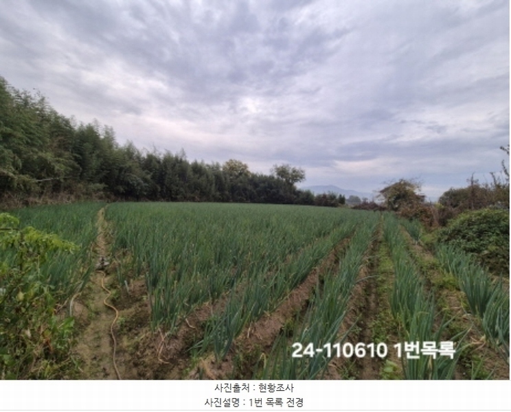 2024타경111610 부산광역시 강서구 대저1동 806-6 농지 경매 이미지