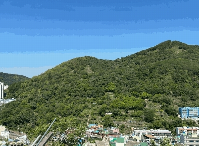 2025타경101359 부산광역시 사하구 감천동 산72 임야 경매 이미지