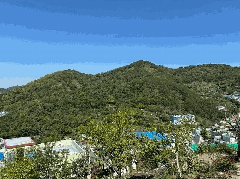 2025타경101359 부산광역시 사하구 감천동 산72 임야 경매 이미지