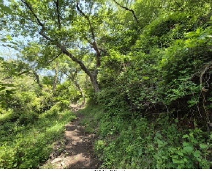 2025타경101359 부산광역시 사하구 감천동 산72 임야 경매 이미지