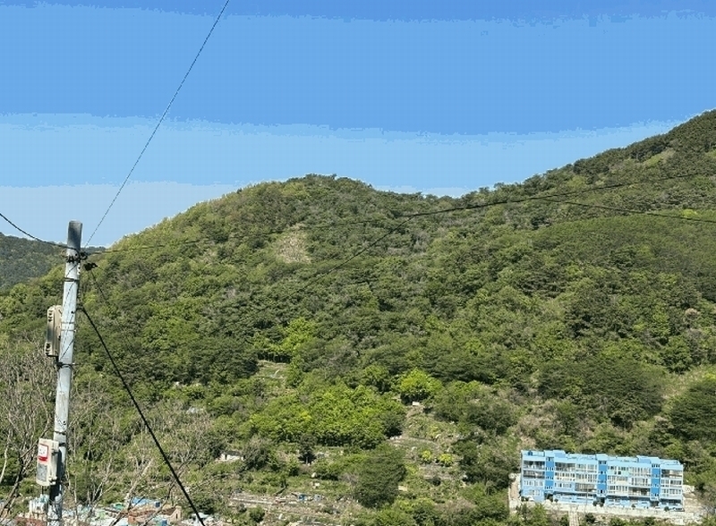 2025타경101359 부산광역시 사하구 감천동 산72 임야 경매 이미지