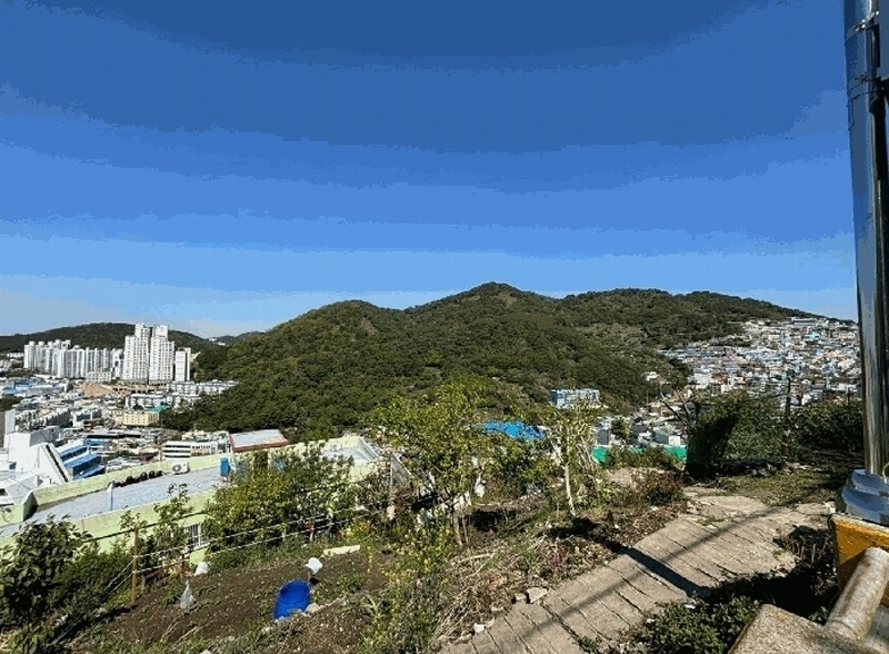 2025타경101359 부산광역시 사하구 감천동 산72 임야 경매 이미지