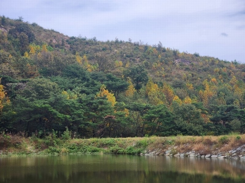 2024타경8142 울산광역시 울주군 언양읍 직동리 산19-4 임야 경매 이미지