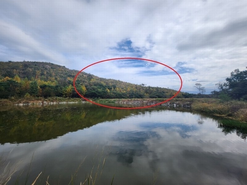 2024타경8142 울산광역시 울주군 언양읍 직동리 산19-4 임야 경매 이미지