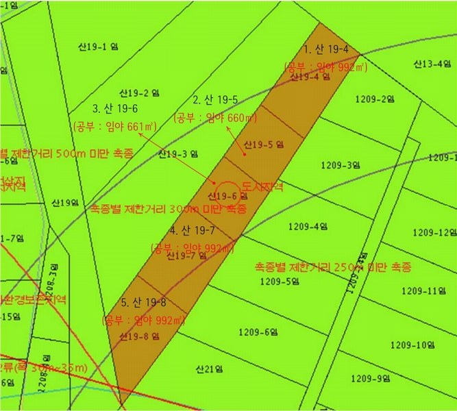 2024타경8142 울산광역시 울주군 언양읍 직동리 산19-4 임야 경매 이미지