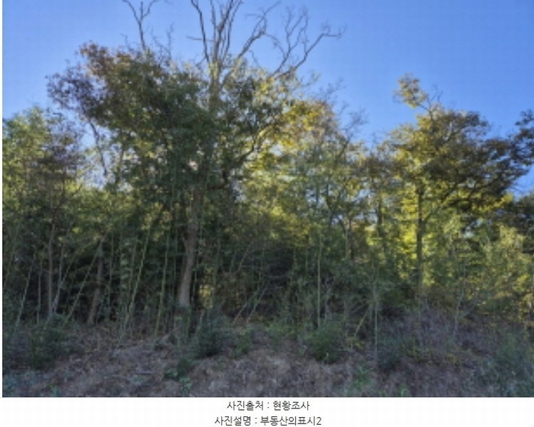 2024타경8203 울산광역시 북구 신현동 441-7 과수원 경매 이미지