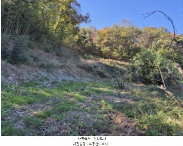 2024타경8203 울산광역시 북구 신현동 441-7 과수원 경매 이미지