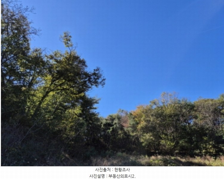 2024타경8203 울산광역시 북구 신현동 441-7 과수원 경매 이미지