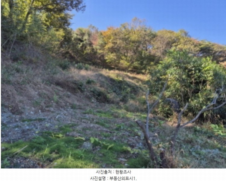 2024타경8203 울산광역시 북구 신현동 441-7 과수원 경매 이미지