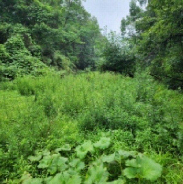 2024타경109779 울산광역시 울주군 범서읍 사연리 5 농지 경매 이미지