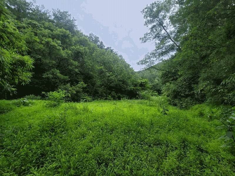 2024타경109779 울산광역시 울주군 범서읍 사연리 5 농지 경매 이미지